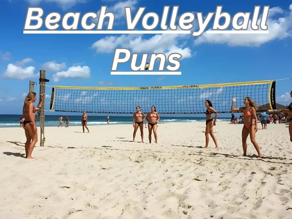 Beach Volleyball Puns