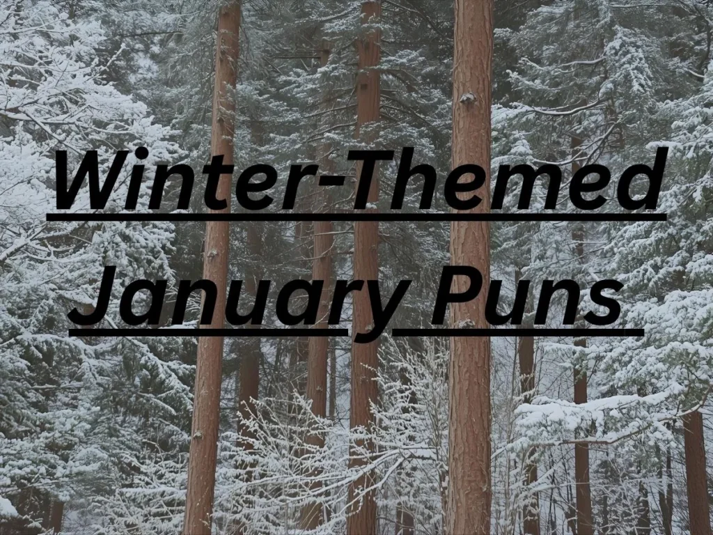 Winter-Themed January Puns 