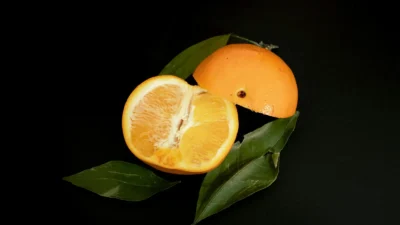 Funny Orange Puns