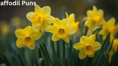 Daffodil Puns