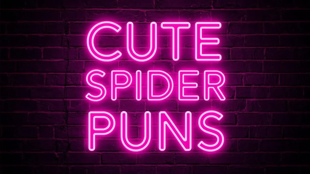 Cute Spider Puns