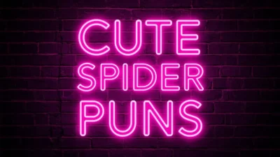 Cute Spider Puns